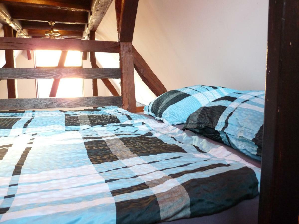 Ferienwohnung Der Familie Budzisch Sinsheim Dış mekan fotoğraf